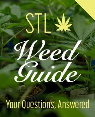 STL Weed Guide: Your Questions, Answered.